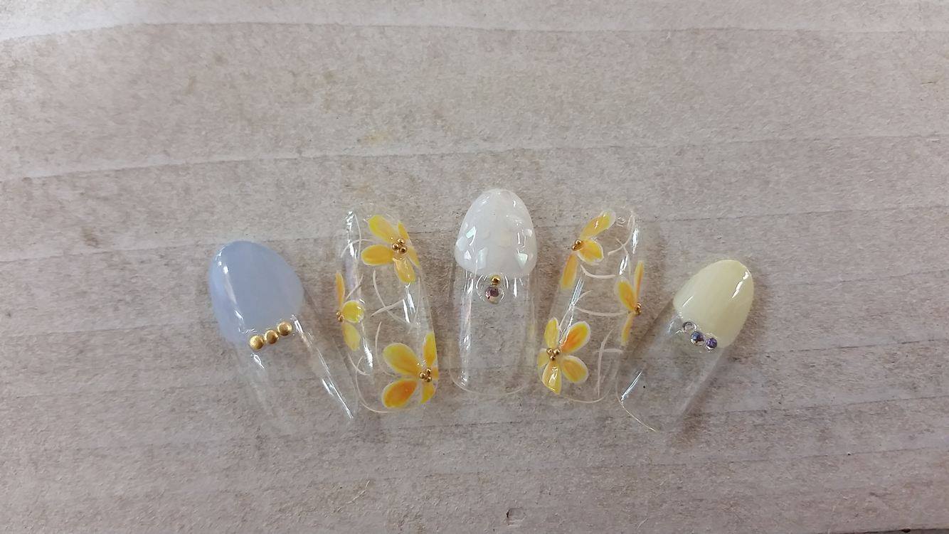 定額6,500円